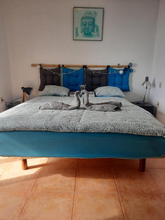 Sun & Surf Loft, Near Main Street And Beach, Wifi Fiber, Winter Garden With Sea View Corralejo Kültér fotó